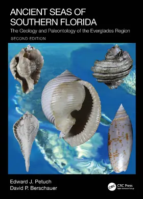 Petuch / Berschauer |  Ancient Seas of Southern Florida | Buch |  Sack Fachmedien