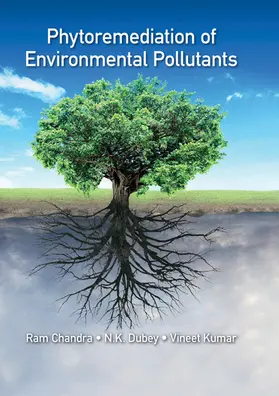 Dubey / Chandra / Kumar |  Phytoremediation of Environmental Pollutants | Buch |  Sack Fachmedien