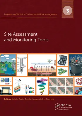 Fenyvesi / Gruiz / Meggyes |  Engineering Tools for Environmental Risk Management | Buch |  Sack Fachmedien