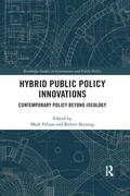 Fabian / Breunig |  Hybrid Public Policy Innovations | Buch |  Sack Fachmedien