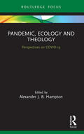 Hampton |  Pandemic, Ecology and Theology | Buch |  Sack Fachmedien