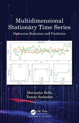 Bolla / Szabados | Multidimensional Stationary Time Series | Buch | 978-0-367-61970-1 | sack.de