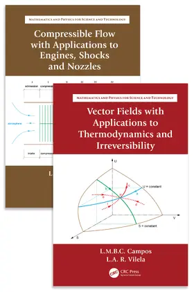 Braga da Costa Campos / Raio Vilela |  Partial Differentials with Applications to Thermodynamics and Compressible Flow | Buch |  Sack Fachmedien