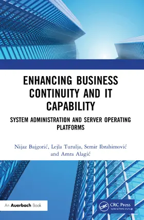 Bajgori¿ / Bajgoric / Turulja |  Enhancing Business Continuity and IT Capability | Buch |  Sack Fachmedien