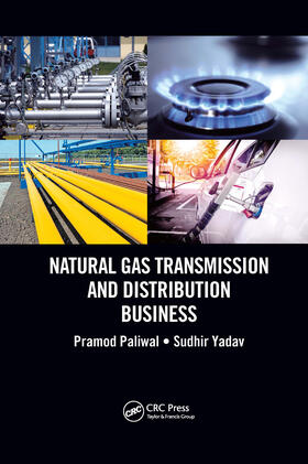 Paliwal / Yadav | Natural Gas Transmission and Distribution Business | Buch | 978-0-367-65658-4 | sack.de