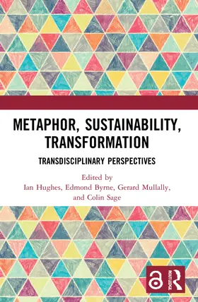Hughes / Byrne / Mullally |  Metaphor, Sustainability, Transformation | Buch |  Sack Fachmedien