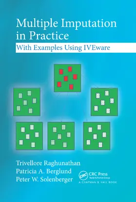 Raghunathan / Berglund / Solenberger |  Multiple Imputation in Practice | Buch |  Sack Fachmedien