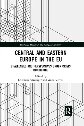 Visvizi / Schweiger |  Central and Eastern Europe in the EU | Buch |  Sack Fachmedien