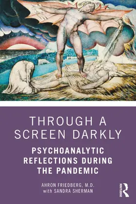 Friedberg / Sherman |  Through a Screen Darkly | Buch |  Sack Fachmedien