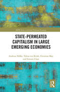 Nölke / ten Brink / May |  State-permeated Capitalism in Large Emerging Economies | Buch |  Sack Fachmedien