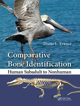 France |  Comparative Bone Identification | Buch |  Sack Fachmedien