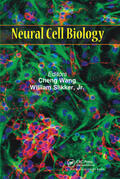 Wang / Slikker, Jr. |  Neural Cell Biology | Buch |  Sack Fachmedien