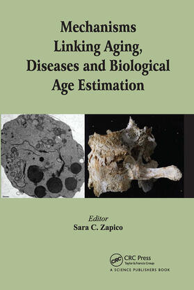 Zapico | Mechanisms Linking Aging, Diseases and Biological Age Estimation | Buch | 978-0-367-78242-9 | sack.de