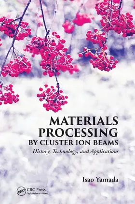 Yamada |  Materials Processing by Cluster Ion Beams | Buch |  Sack Fachmedien