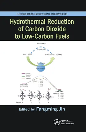 Jin |  Hydrothermal Reduction of Carbon Dioxide to Low-Carbon Fuels | Buch |  Sack Fachmedien