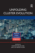 Belussi / Hervás-Oliver |  Unfolding Cluster Evolution | Buch |  Sack Fachmedien