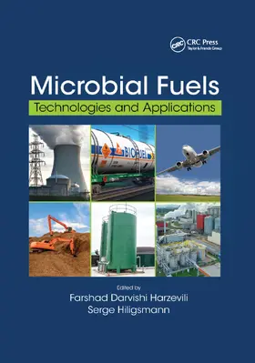 Darvishi Harzevili / Hiligsmann |  Microbial Fuels | Buch |  Sack Fachmedien
