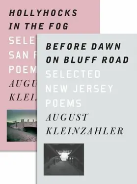 Kleinzahler |  Before Dawn on Bluff Road / Hollyhocks in the Fog | eBook | Sack Fachmedien