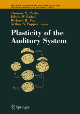 Parks / Rubel / Fay | Plasticity of the Auditory System | Buch | 978-0-387-20986-9 | sack.de