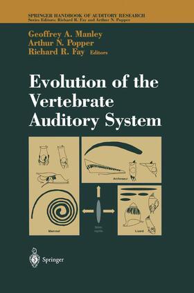 Fay / Manley | Evolution of the Vertebrate Auditory System | Buch | 978-0-387-21089-6 | sack.de