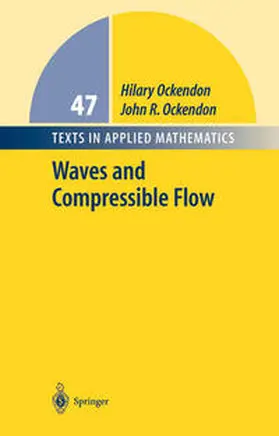 Ockendon | Waves and Compressible Flow | E-Book | www.sack.de
