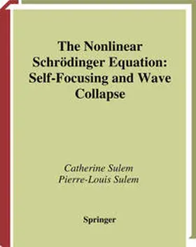 Sulem | The Nonlinear Schrödinger Equation | E-Book | www.sack.de