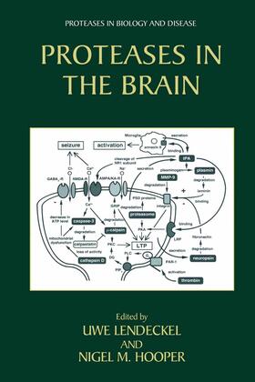Lendeckel / Hooper | Proteases in the Brain | E-Book | sack.de
