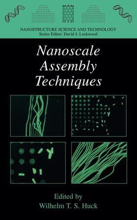 Huck |  Nanoscale Assembly | Buch |  Sack Fachmedien
