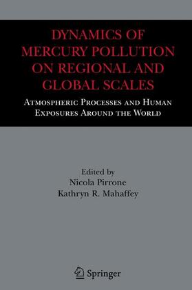 Pirrone / Mahaffey |  Dynamics of Mercury Pollution on Regional and Global Scales | Buch |  Sack Fachmedien