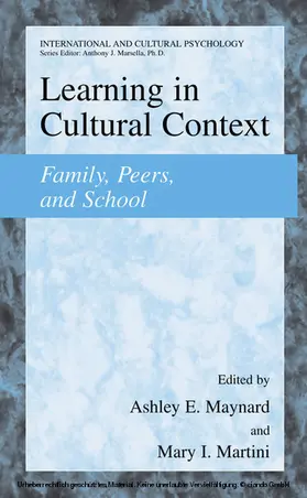 Maynard / Martini |  Learning in Cultural Context | eBook | Sack Fachmedien