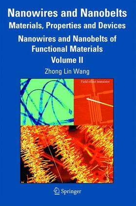 Wang | Nanowires and Nanobelts: Materials, Properties and Devices | Buch | 978-0-387-28706-5 | sack.de