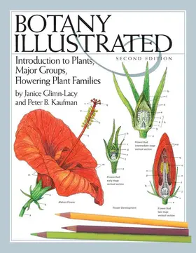 Glimn-Lacy / Kaufman | Botany Illustrated | Buch | 978-0-387-28870-3 | sack.de