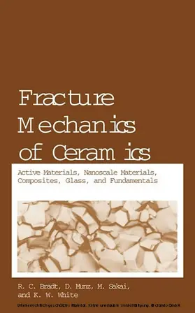 Bradt / Munz / Sakai | Fracture Mechanics of Ceramics | E-Book | www.sack.de