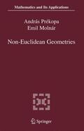 Molnár / Prékopa |  Non-Euclidean Geometries | Buch |  Sack Fachmedien