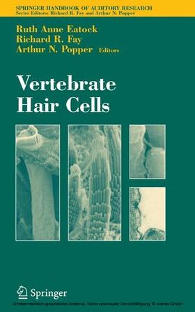 Eatock / Fay | Vertebrate Hair Cells | E-Book | sack.de