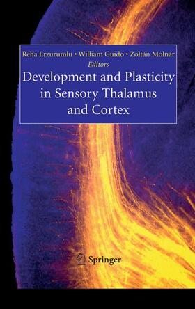 Erzurumlu / Molnar / Guido | Development and Plasticity in Sensory Thalamus and Cortex | Buch | 978-0-387-31798-4 | sack.de