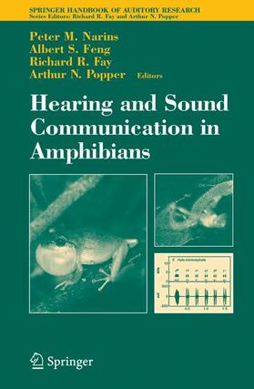 Narins / Feng / Fay | Hearing and Sound Communication in Amphibians | Buch | 978-0-387-32521-7 | sack.de