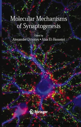 Dityatev / El-Husseini | Molecular Mechanisms of Synaptogenesis | E-Book | www.sack.de