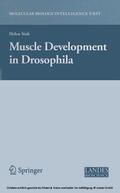 Sink |  Muscle Development in Drosophilia | eBook | Sack Fachmedien