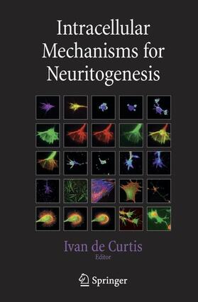Curtis | Intracellular Mechanisms for Neuritogenesis | Buch | 978-0-387-33128-7 | sack.de