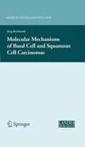 Reichrath |  Molecular Mechanisms of Basal Cell and Squamous Cell Carcinomas | eBook | Sack Fachmedien