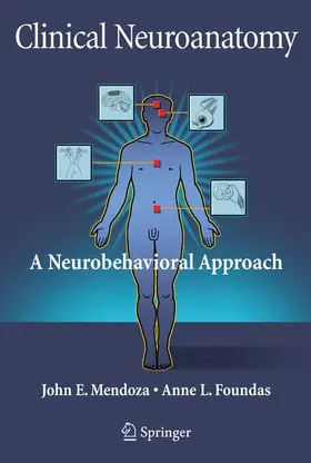 Mendoza / Foundas | Clinical Neuroanatomy | Buch | 978-0-387-36600-5 | www.sack.de