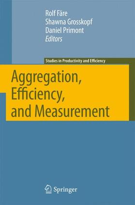 Färe / Grosskopf / Primont | Aggregation, Efficiency, and Measurement | Buch | 978-0-387-36948-8 | sack.de