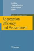 Färe / Grosskopf / Primont |  Aggregation, Efficiency, and Measurement | Buch |  Sack Fachmedien
