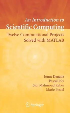 Danaila / Joly / Kaber |  An Introduction to Scientific Computing | eBook | Sack Fachmedien
