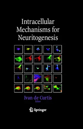 Curtis / Decurtis |  Intracellular Mechanisms for Neuritogenesis | eBook | Sack Fachmedien