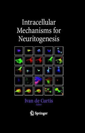 Curtis / Decurtis | Intracellular Mechanisms for Neuritogenesis | E-Book | sack.de
