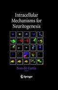 Curtis / Decurtis |  Intracellular Mechanisms for Neuritogenesis | eBook | Sack Fachmedien