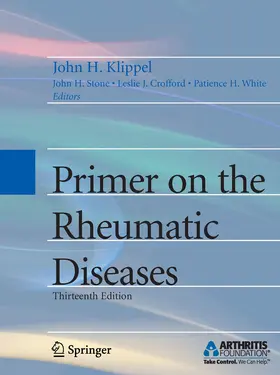 Klippel / Stone / Crofford |  Primer on the Rheumatic Diseases | eBook | Sack Fachmedien