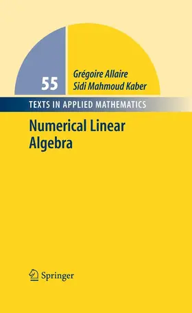 Allaire / Kaber / Trabelsi |  Numerical Linear Algebra | eBook | Sack Fachmedien